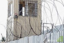 Из-за мер против коронавируса, из бразильских тюрем сбежали заключенные