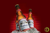 Убытки пивоваренного гиганта Budweiser в I квартале $41 млн