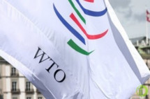 Должность ВТО станет вакантной в конце августа