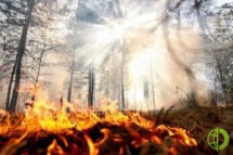 Сложная ситуация складывается в Пенжинском районе, где сейчас действуют 11 лесных пожаров на территории общей площадью более 4 тысяч гектаров