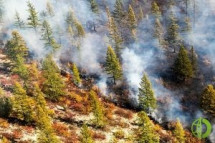 На севере края и в Приангарье высокая грозовая активность, что способствует увеличению числа пожаров