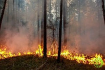 Режим чрезвычайной ситуации, введенный в Иркутской области из-за лесных пожаров, снят с 18:00