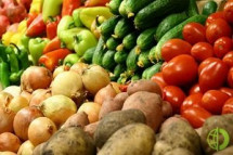 Аграрии края приступили к массовой уборке овощей открытого грунта, посевные площади которых в этом году составили 12,9 тыс. га, что почти на треть больше, чем в 2019-м