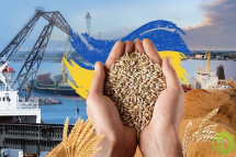 Кремль заявляет, что ему пообещали снятие санкций на экспорт собственной продукции сельскохозяйственного сектора