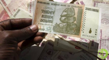 Республика предлагает оплачивать сырье своей валютой — зимбабвийскими долларами
