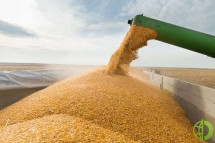 Вашингтон надеется на продление зерновой сделки