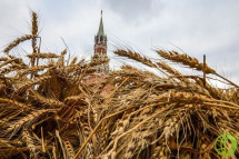 Согласно материалам, прогноз экспортного потенциала российской пшеницы в новом сезоне повышен до 48 миллионов тонн