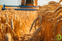 Действие зерновой сделки прекратилось с 18 июля