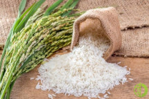 Индия является крупнейшим экспортером риса в мире