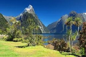 Коронавирус нашли в Новой Зеландии