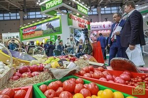 Обстановка на продовольственном рынке РФ остается стабильной