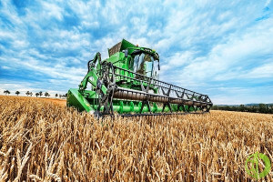 В ведомстве считают, что мировой сбор пшеницы в этом сезоне будет 780,59 миллиона тонн