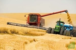 По оценке экспертов, урожай зерна в 2013 году составит 97,2-100 млн тонн. 