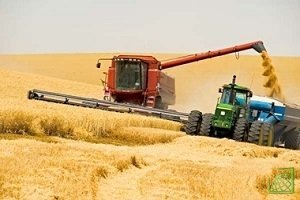 Стоимость тонны пшеницы в портах на юге РФ поднялась на 400 рублей.