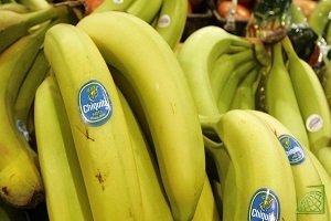 Мировой банановый рынок сегодня находится под контролем 4 гигантов, таких как: Chiquita, Dole Food Company, Fresh Del Monte и Fyffes.