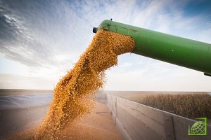 Аналитики: РФ может экспортировать до 52 млн т зерновых