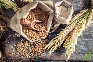 Экспортные поставки зерновых из РФ подскочили на 44%