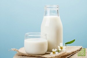 Производство молока относится к приоритетным проектам в России