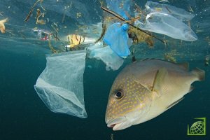 Пластиковые отходы наносят непоправимый ущерб морским обитателям