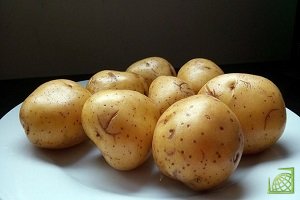 ​Украина за январь-май 2018 г. экспортировала 6,61 тыс. т картофеля на сумму $1,19 млн,