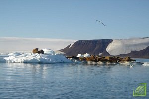 Индия может стать первым неарктическим государством, участвующим в добыче ресурсов в Арктике