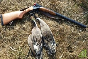 В Новгородской области завершается сезон охоты 