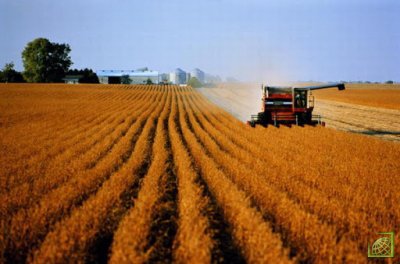 По предварительному прогнозу Минсельхоза, сбор зерна в целом в РФ в этом году составит 125,3 млн тонн. В прошлом году было собрано 120,7 млн тонн