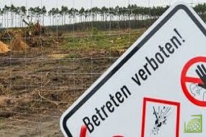 Tesla разрешили вырубить лес для постройки первого завода в Европе 