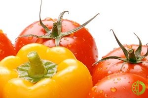 В конце июня 2020 года Плодоовощной союз обратился в Россельхознадзор с просьбой обратить особое внимание на тестирование ввозимых в РФ помидоров