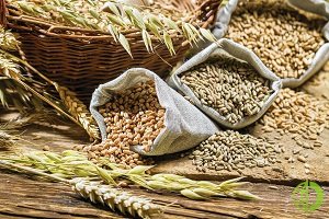 Министерство развития экономики, торговли и сельского хозяйства прогнозирует, что украинские сельхозпроизводители в 2020 году соберут 68 млн тонн урожая зерновых культур
