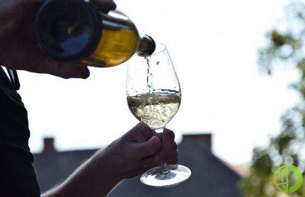Украина экспортировала вина на $6,1 млн