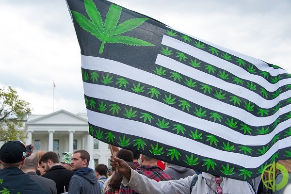 Избиратели в Нью-Джерси и Аризоне одобрили меры по легализации марихуаны для людей старше 21 года