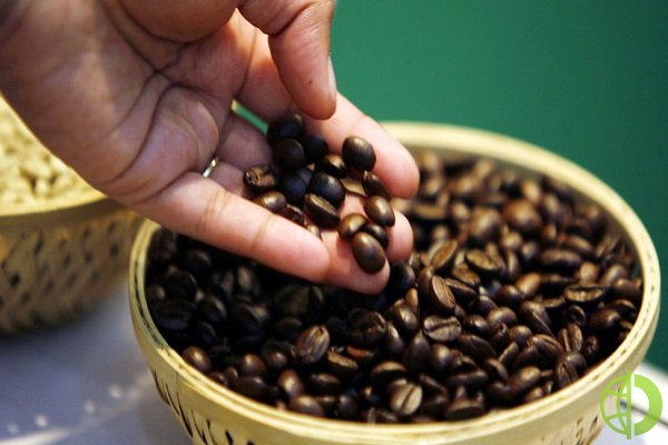 По итогам торговой сессии в понедельник стоимость контрактов на кофе на декабрь составила 2,34 доллара за фунт