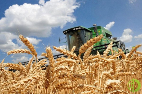 Цены фьючерсов на пшеницу на Чикагской товарной бирже подскочили до исторического максимума
