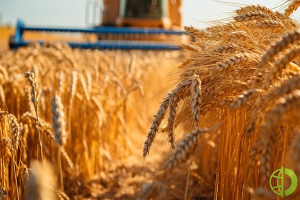 Действие зерновой сделки прекратилось с 18 июля