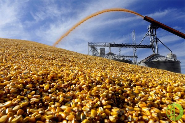 Фьючерсы на кукурузу прибавили в цене 0,1%
