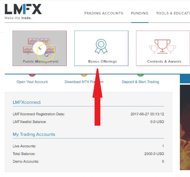 Обзор LMFX - Бонусы